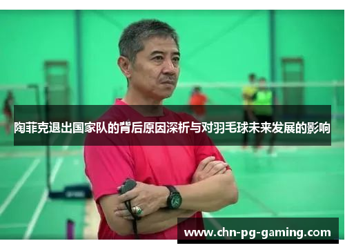 陶菲克退出国家队的背后原因深析与对羽毛球未来发展的影响