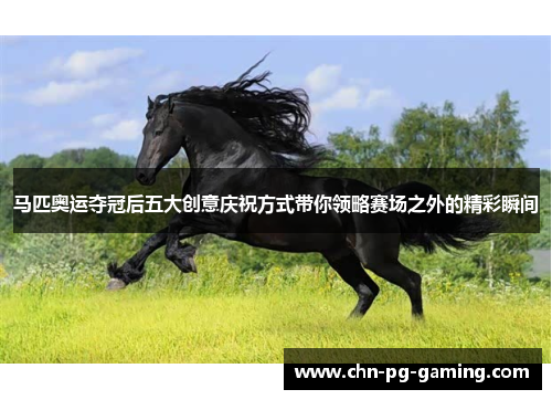 马匹奥运夺冠后五大创意庆祝方式带你领略赛场之外的精彩瞬间 马匹奥运夺冠后五大创意庆祝方式带你领略赛场之外的精彩瞬间