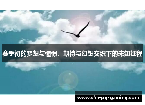 赛季初的梦想与憧憬：期待与幻想交织下的未知征程