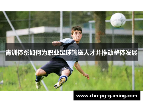 青训体系如何为职业足球输送人才并推动整体发展
