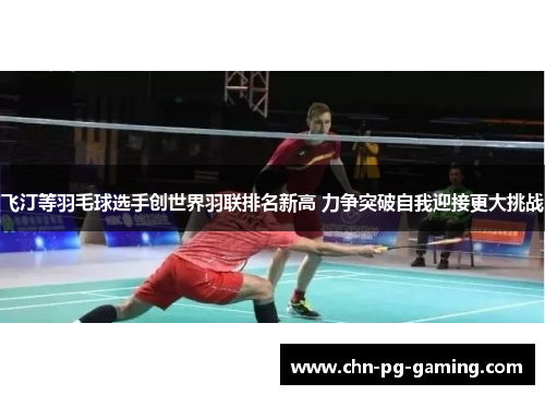 飞汀等羽毛球选手创世界羽联排名新高 力争突破自我迎接更大挑战