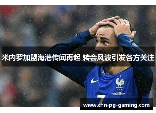 米内罗加盟海港传闻再起 转会风波引发各方关注