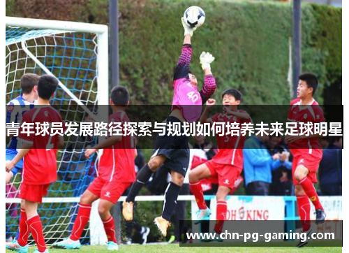 青年球员发展路径探索与规划如何培养未来足球明星